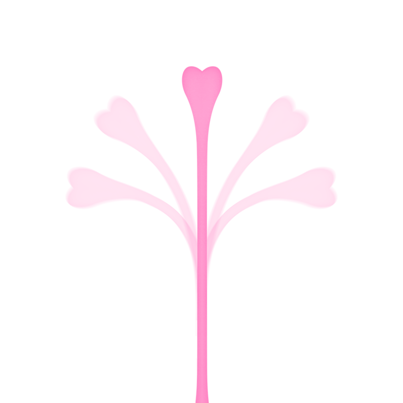 OHMAMA – ENSEMBLE DE 5 BALLES DEXERCICE KEGEL