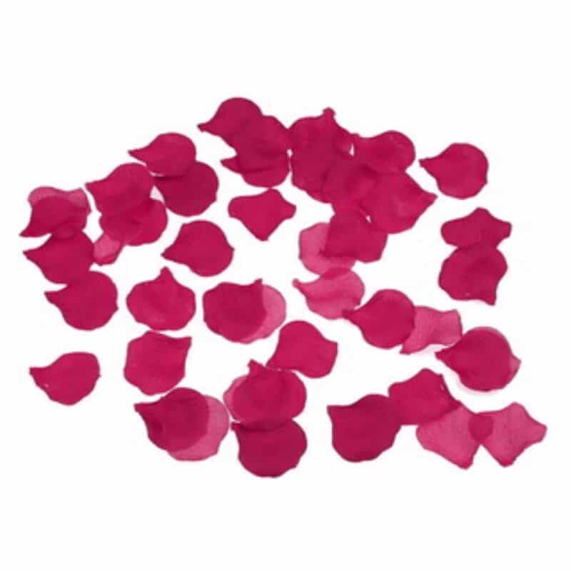 DIABLO PICANTE – 100 PÉTALES FUCHSIA