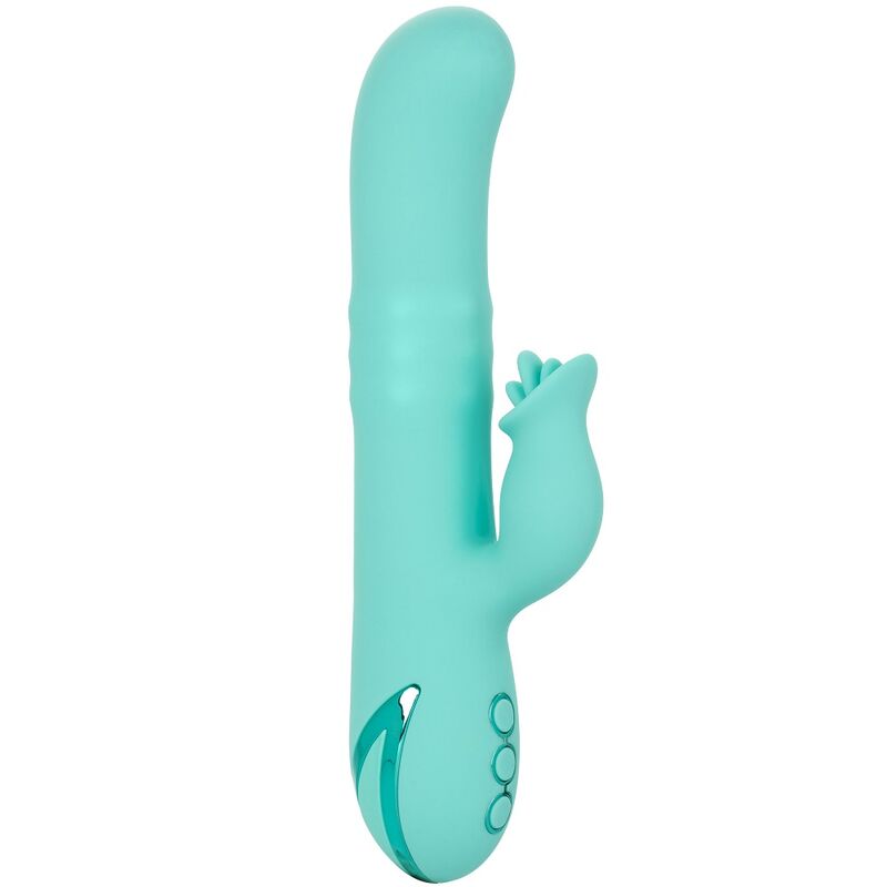 CALIFORNIA EXOTICS – BEL AIR BOMBE VERT CLAIR