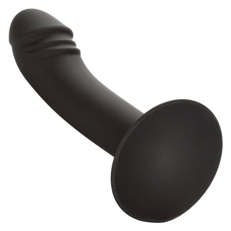 CALIFORNIA EXOTICS – STUD ANAL COURB?