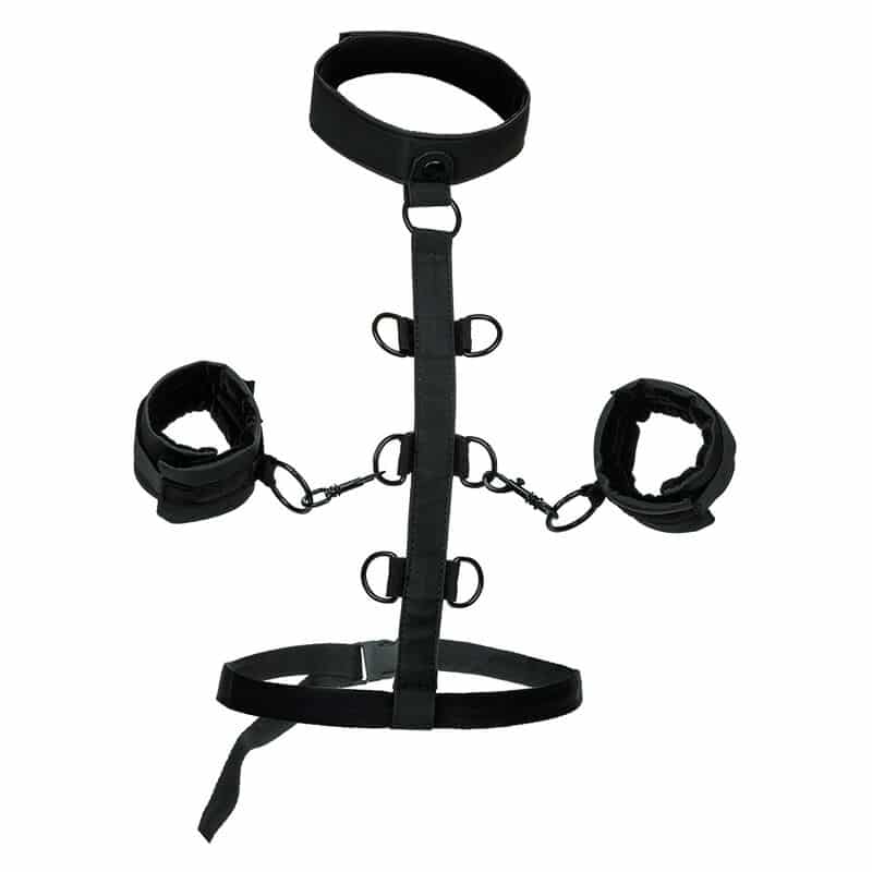 CALIFORNIA EXOTICS – BOUNDLESS COLLIER DE RETENUE
