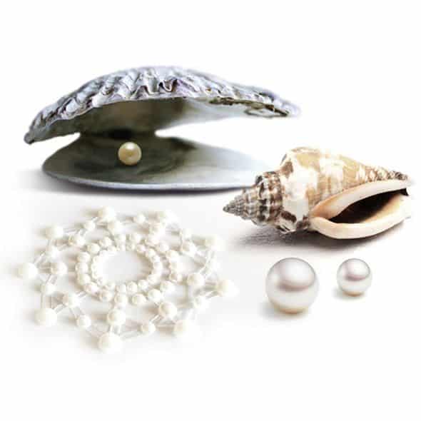 BIJOUX – INDISCRETS MIMI PERLE DOR?