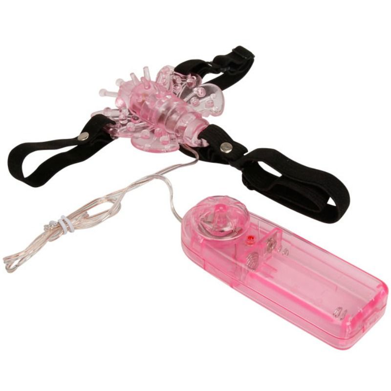 BAILE – HARNAIS AVEC PAPILLON VIBRANT MULTIVITESSES