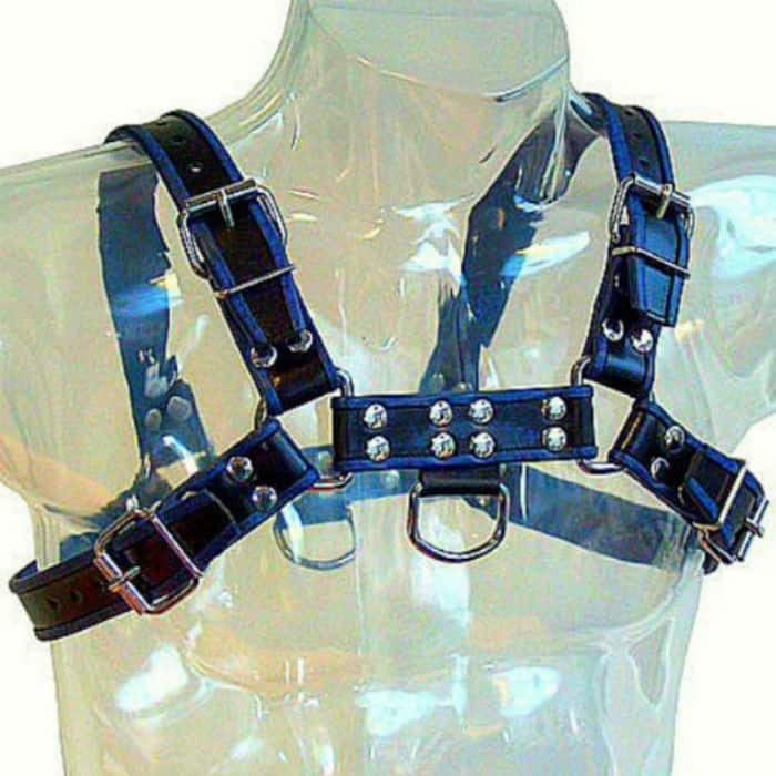 LEATHER BODY – HARNAIS BULLDOG CUIR NOIR / BLEU
