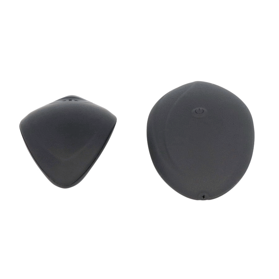 BLACKSILVER – STIMULATEUR À TÉLÉCOMMANDE ZARA AVEC CULOTTE GRATUITE