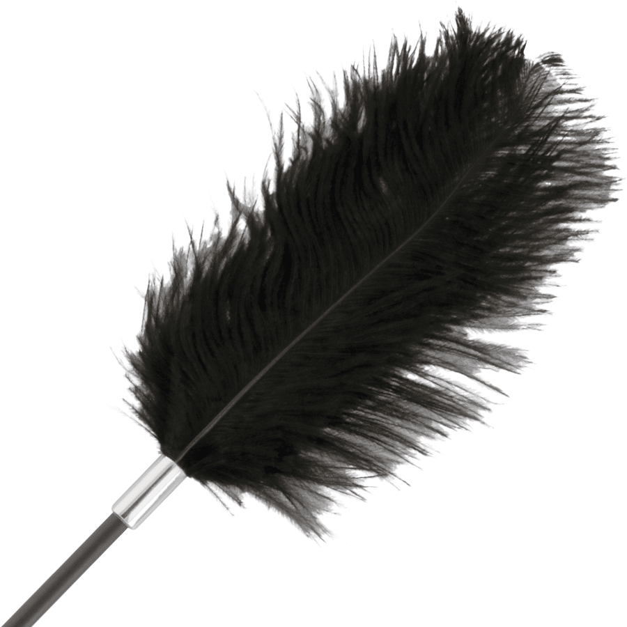 DARKNESS – FOUET PLUME DAMOUR NOIR 56 CM