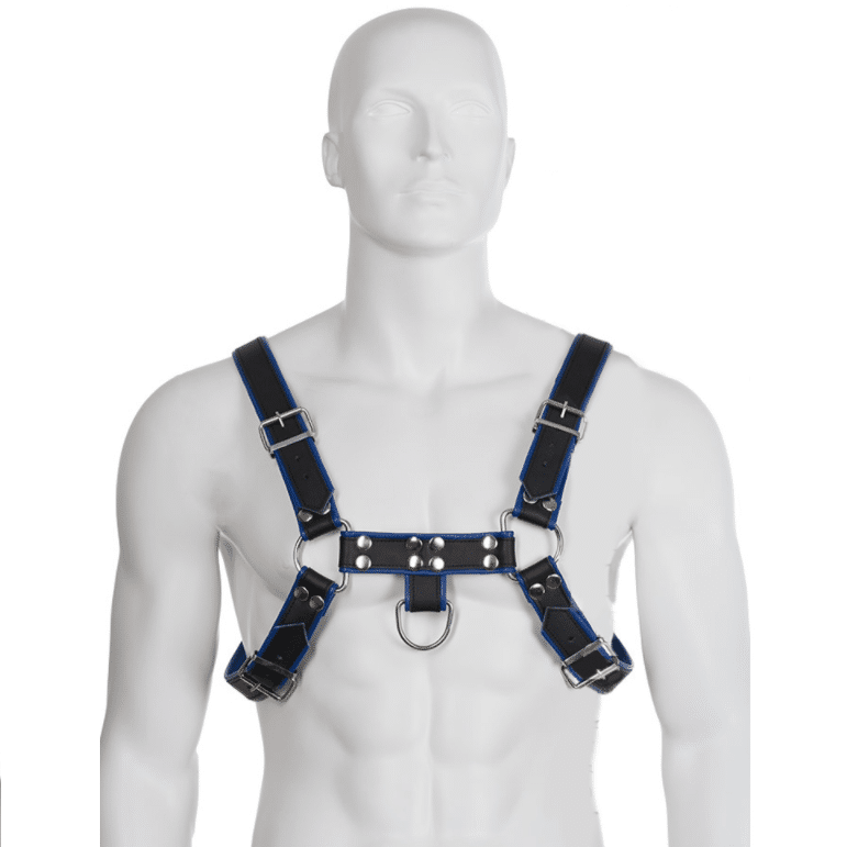 LEATHER BODY – HARNAIS BULLDOG CUIR NOIR / BLEU