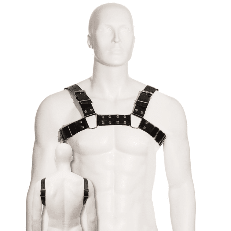 LEATHER BODY – HARNAIS BULL CHIEN NOIR